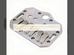 Bitzer S4BCF Valve Plate Assy  (58.0)-LP(6.5), 304069-08, 818601B for AC Air Compressor