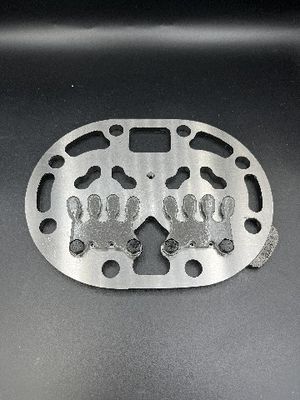 Various irregular valve plates can also be customized Compressor Valve Plate