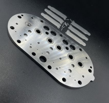 15P Copeland Refrigeration Compressor Valve Plate Assembly & Valve Reeds for Cold Storage Freezer