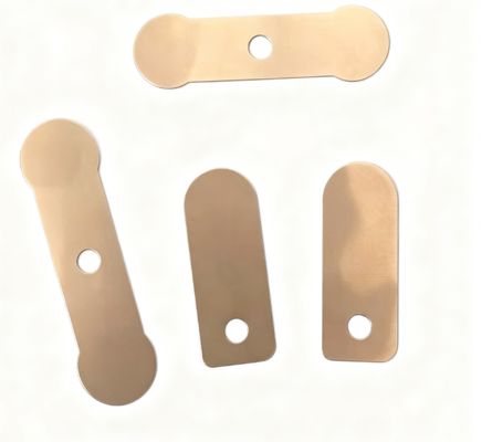Air Compressor Intake & Exhaust Valve Plate Kits for Oil-Free, Belt-Driven Models 550W / 750W / 1100W / 1500W